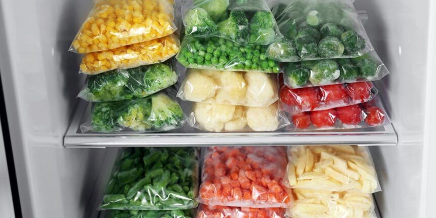 Usaha Makanan Frozen Food Homemade