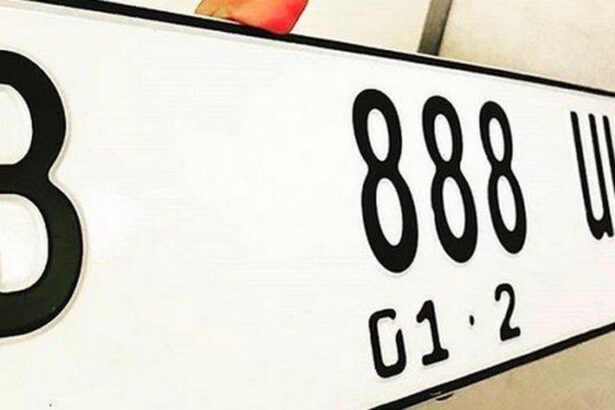 Cara Beli yang Resmi Plat Mobil Hilang Satu
