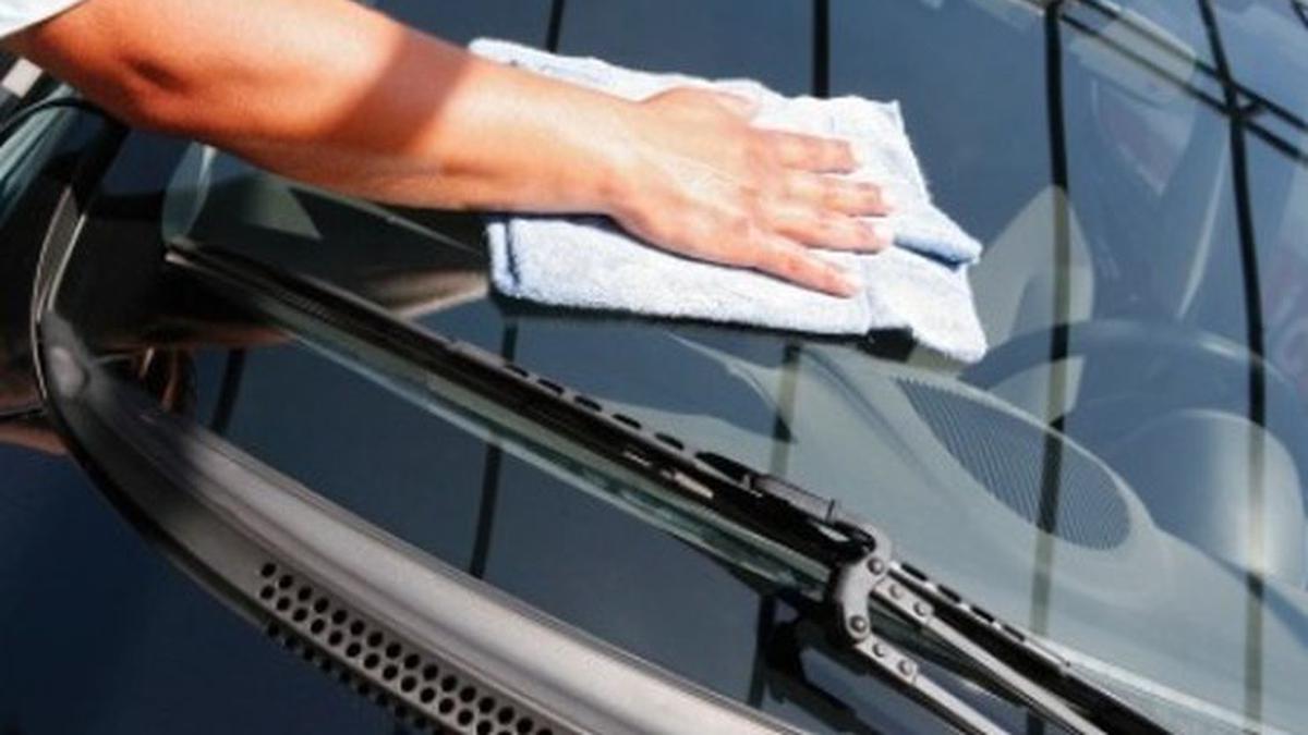 Cara Membersihkan Jamur Kaca Mobil