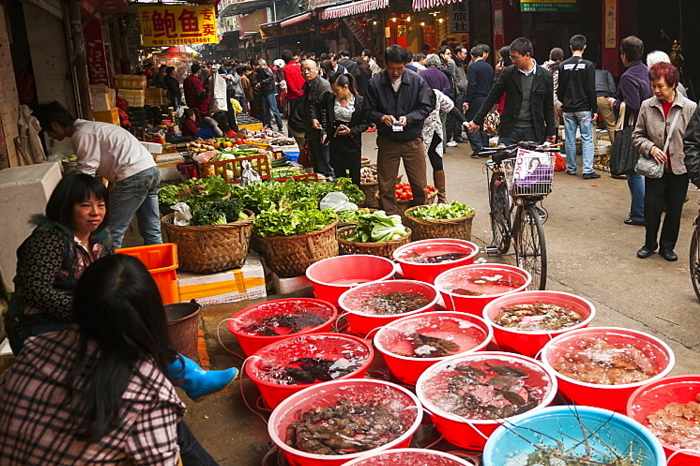 Ide Usaha di Desa Modal Kecil Untung Besar