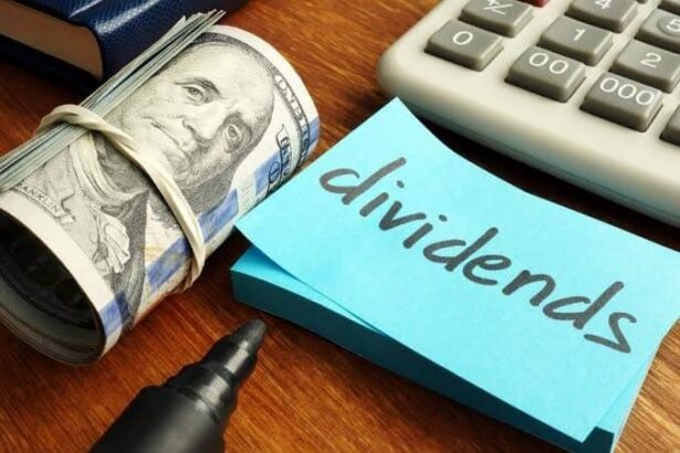 Apa Itu Dividen Yield