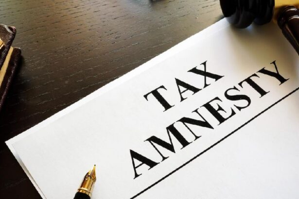 Tips Memanfaatkan Tax Amnesty